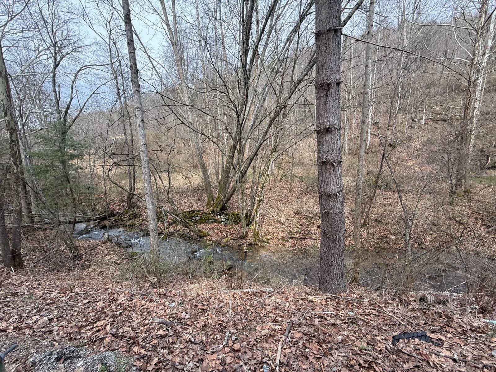 Vacant Land Near Campground