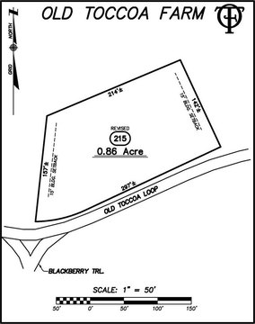 Mineral Bluff Vacant Lot