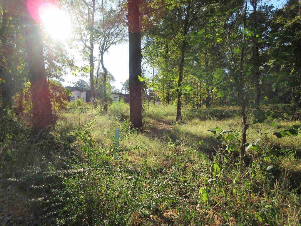 Picture 25
