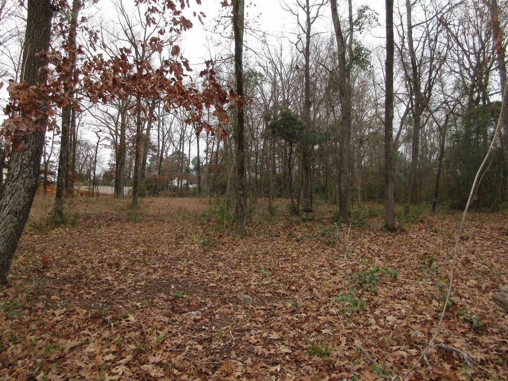 Picture 9