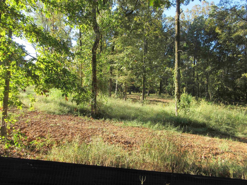Picture 22