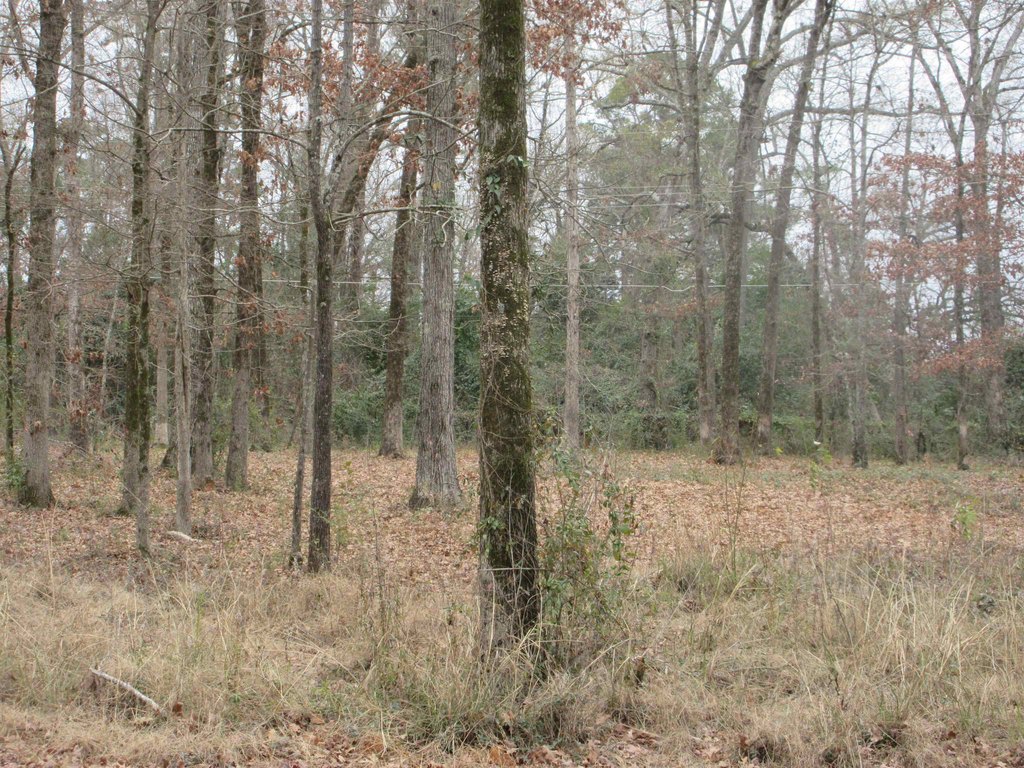 Picture 6