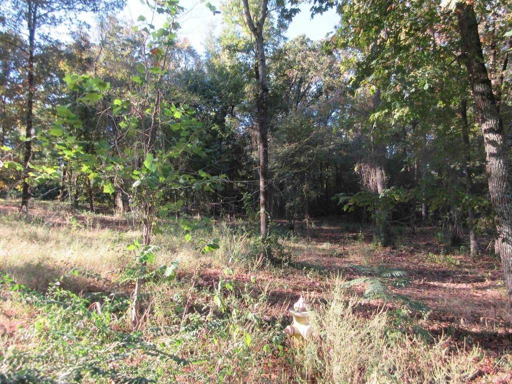 Picture 13
