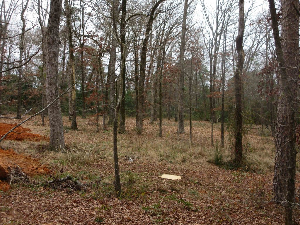 Picture 4