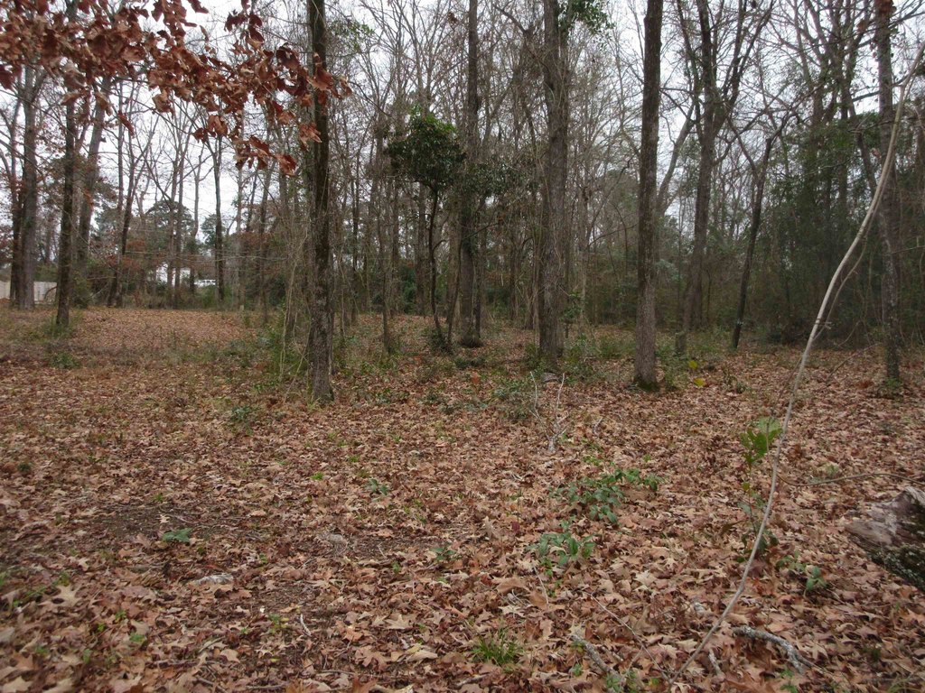 Picture 11