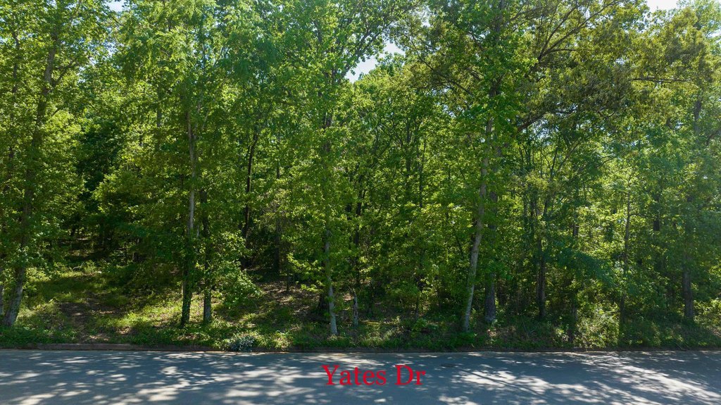 Picture 18