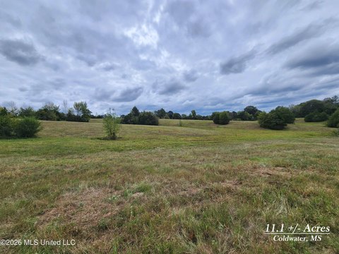 Land, Coldwater, MS
