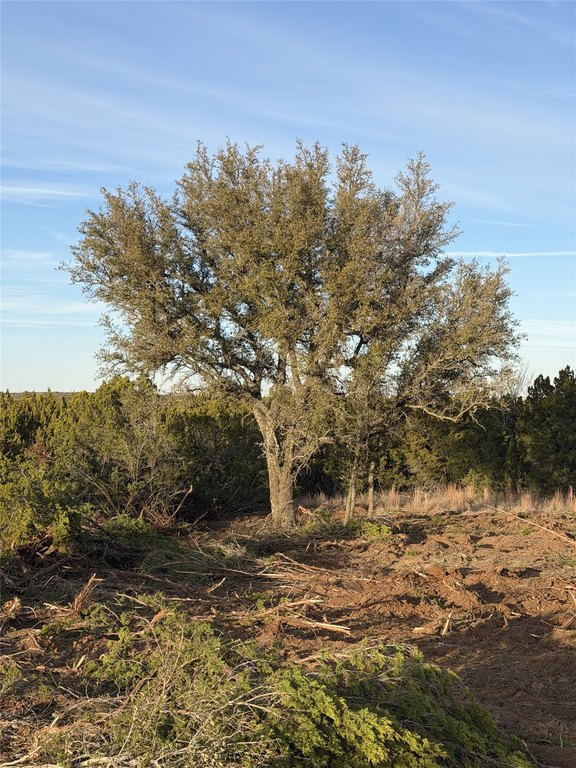 Picture 13