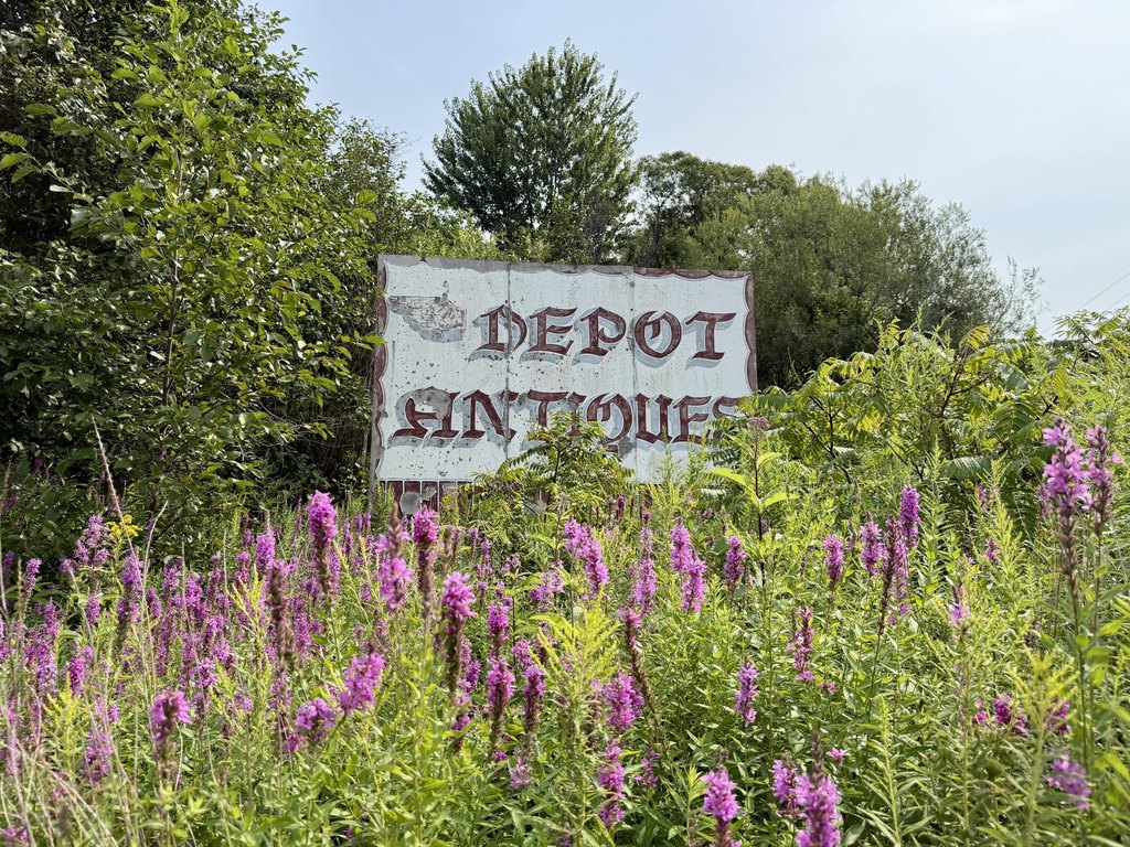 Picture 40