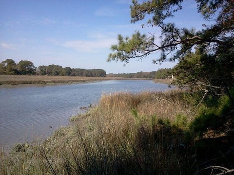 Parksley, VA Waterfront Land