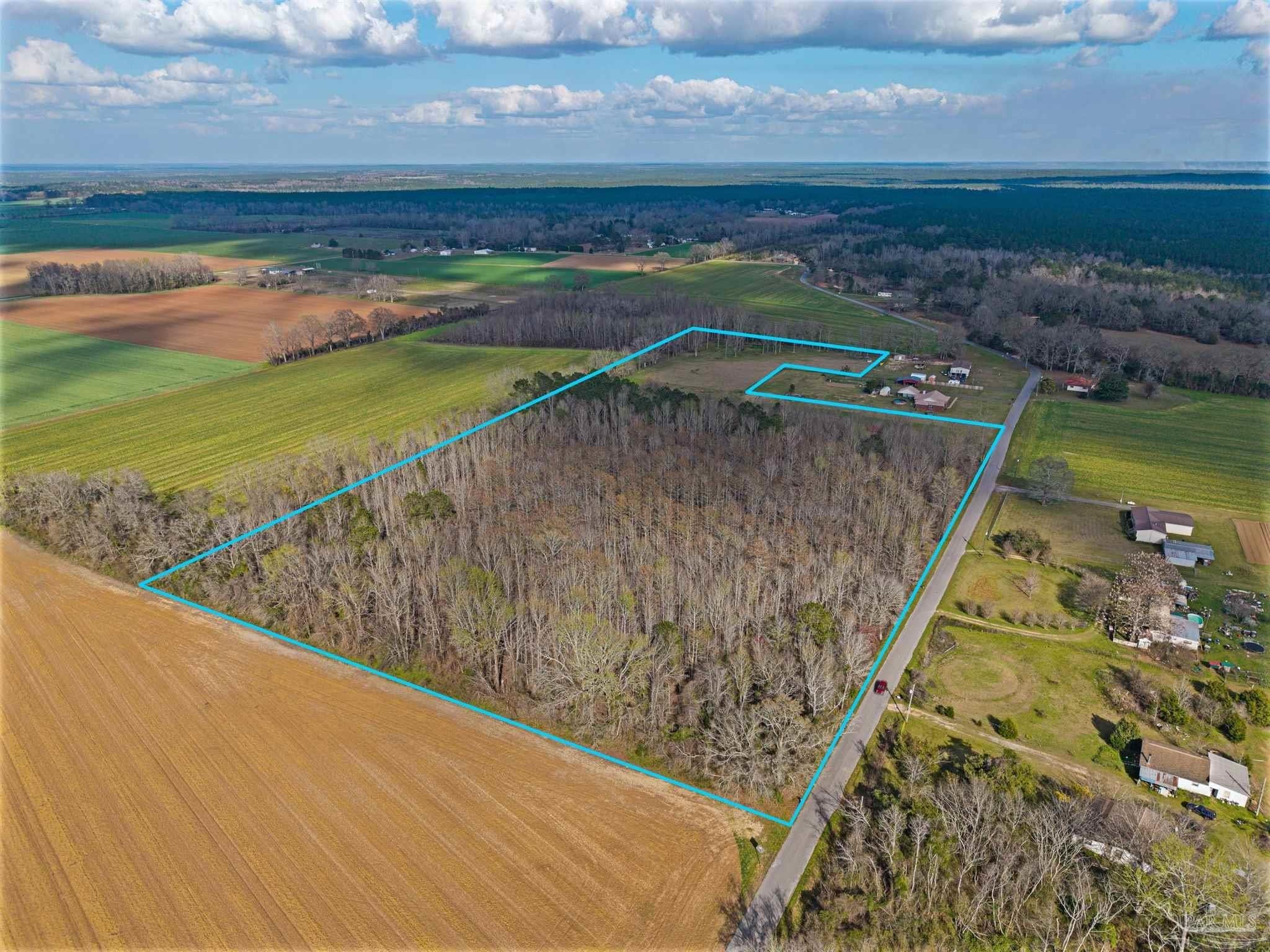 16.68 Acres in Jay, FL