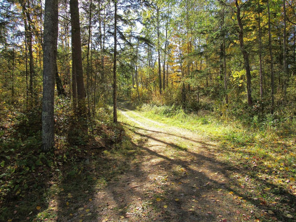 Picture 7