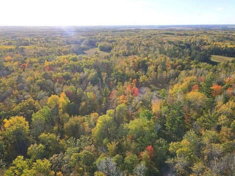 Land, Park Rapids, MN