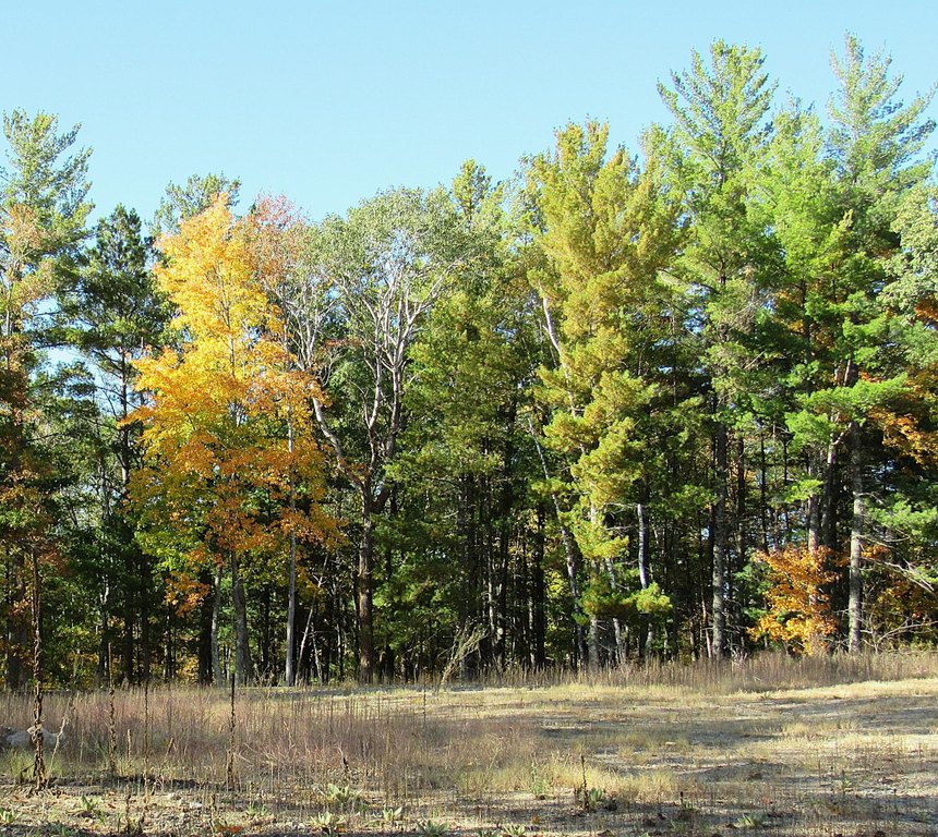 Picture 9