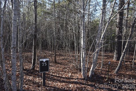 Land, Nebo, NC