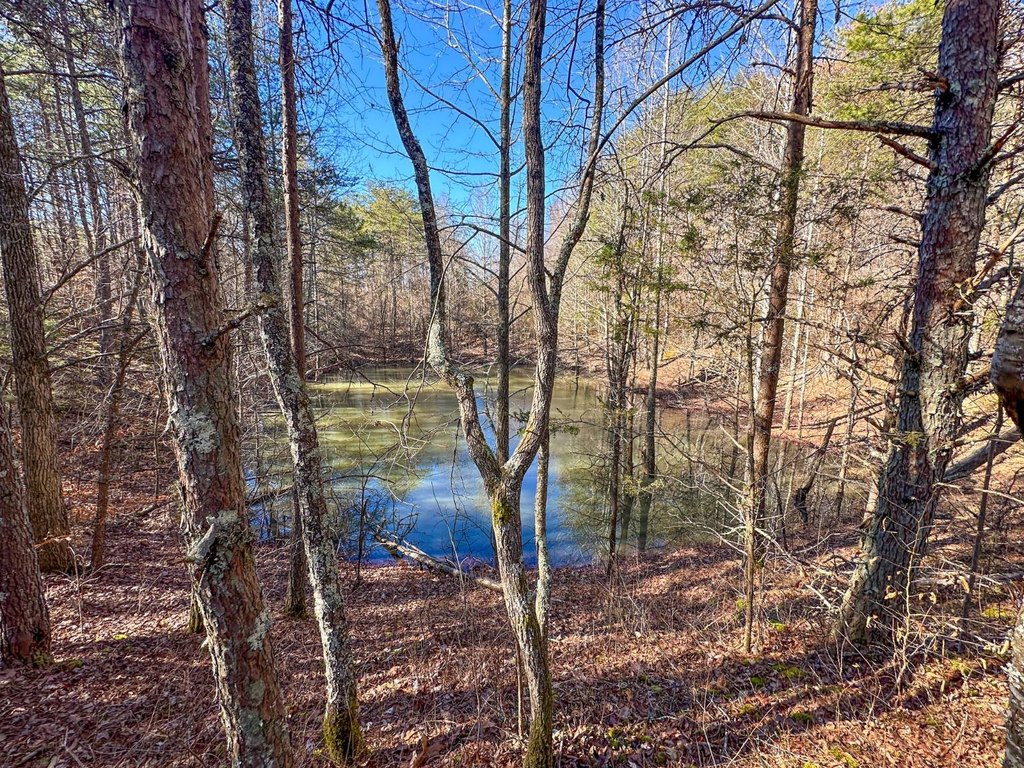 Picture 85