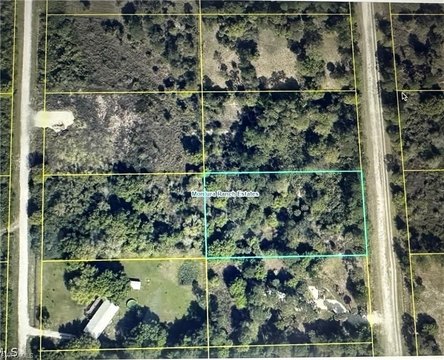 LAND - CLEWISTON, FL