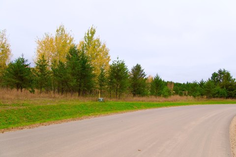 Land, Pequot Lakes, MN
