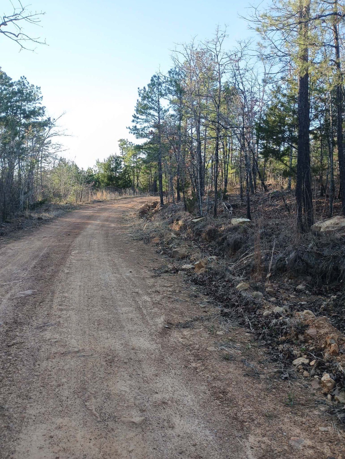 Panola Mountain Vacant Hunting Land