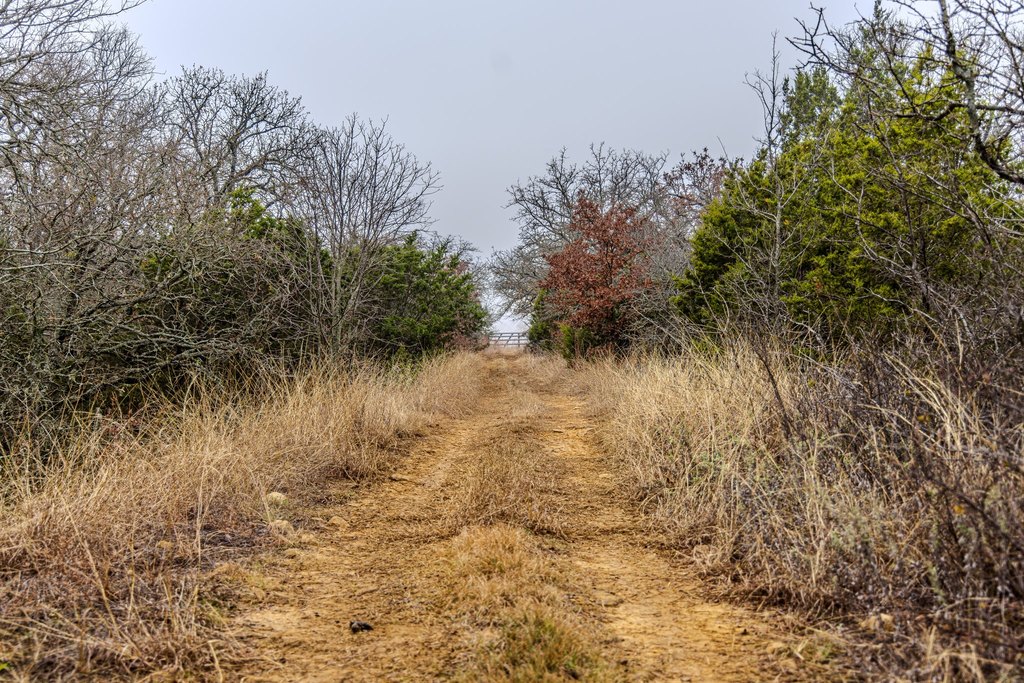 Picture 28