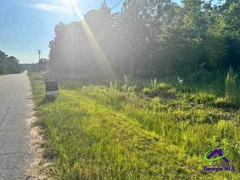 Residential Lot - Lizella, GA