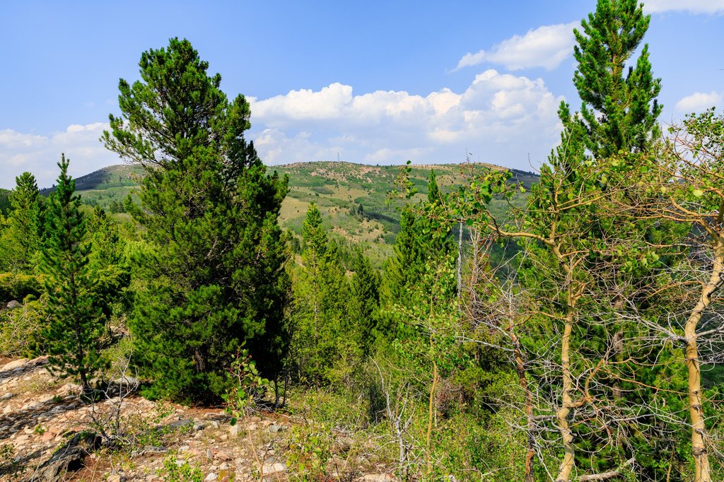 Picture 25