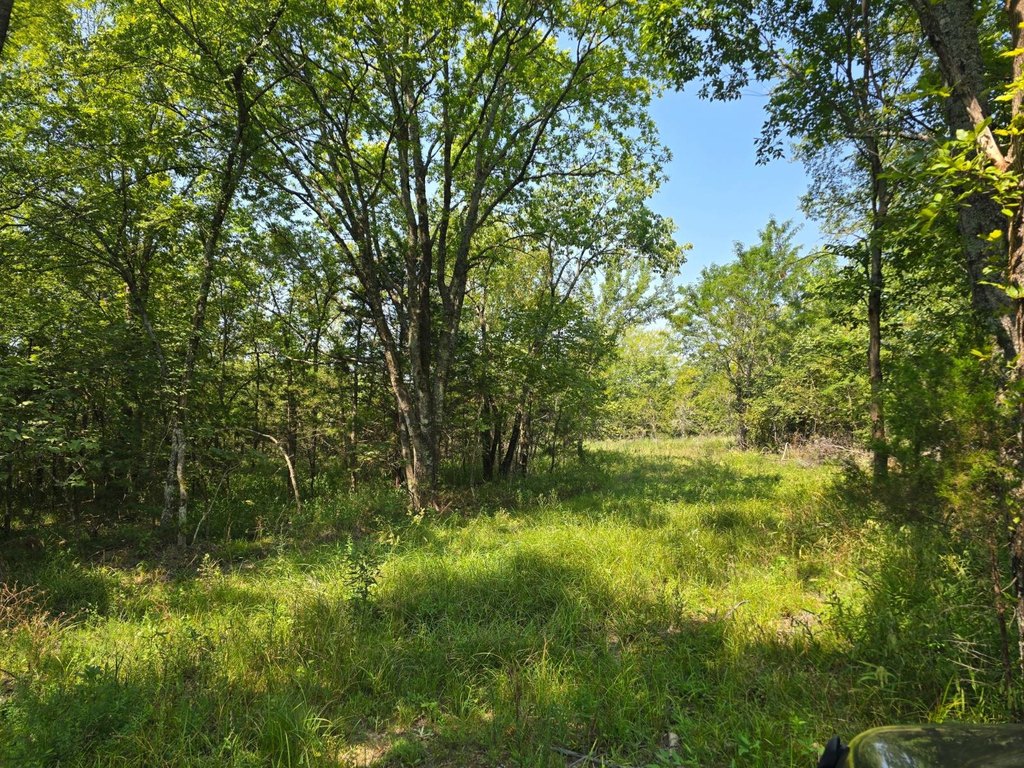 Picture 18