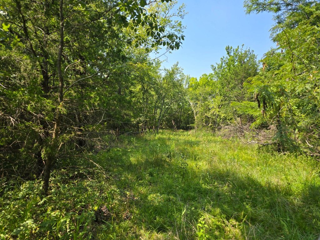 Picture 17