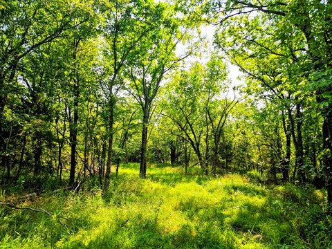 LAND - Talihina, OK