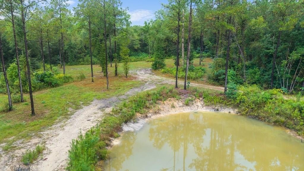 30-Acre Tract in Poplarville, MS