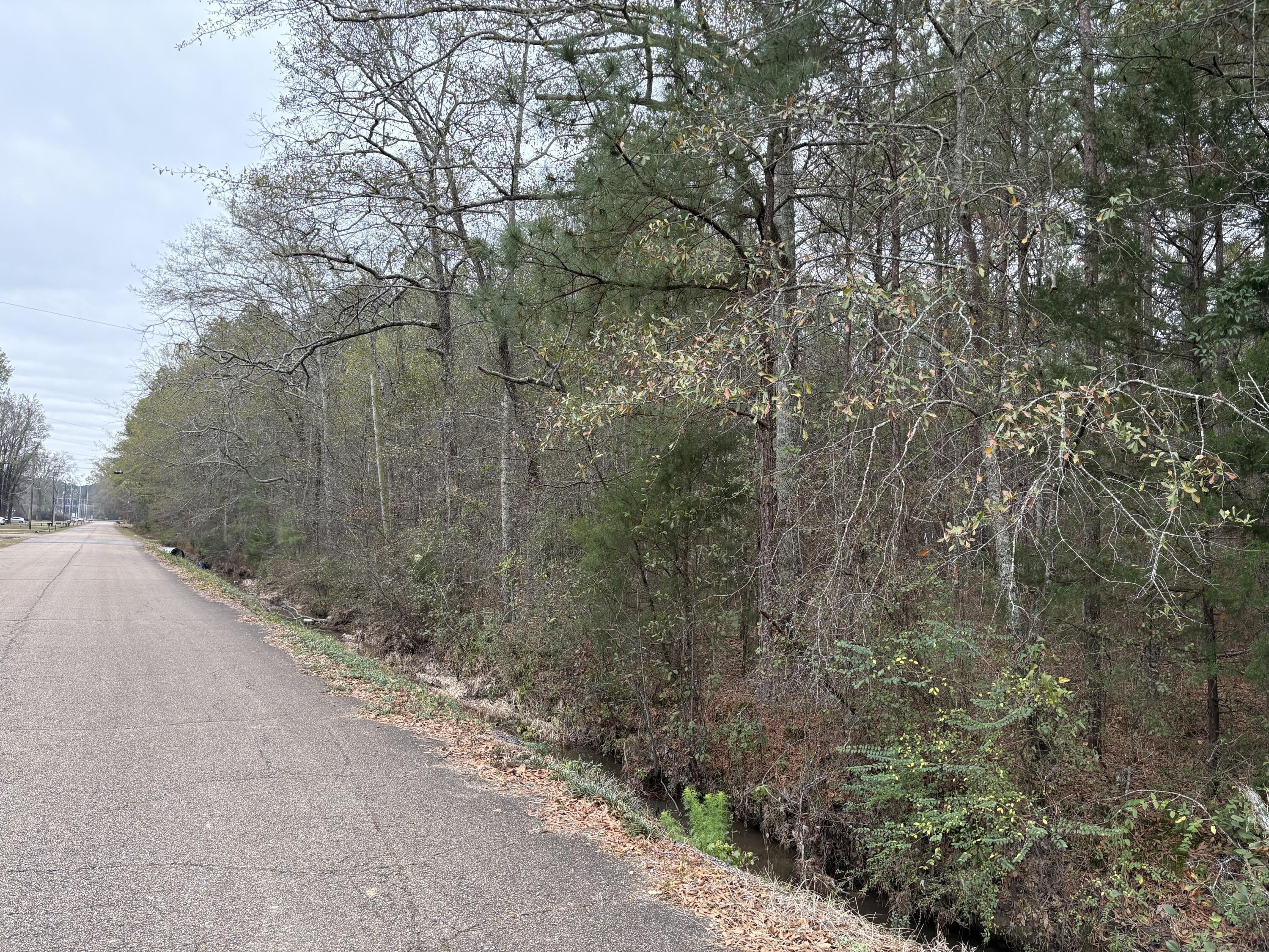 Amory, MS Wooded Acreage