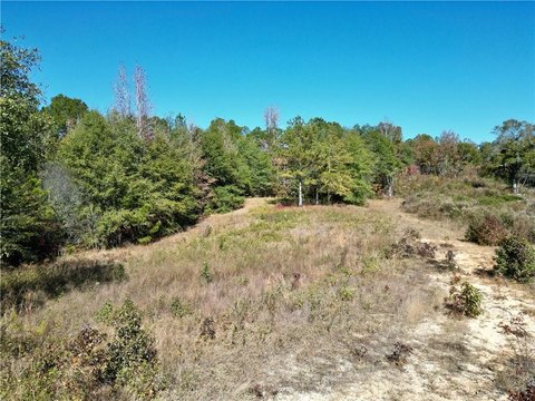 Versatile Land with Development Potential