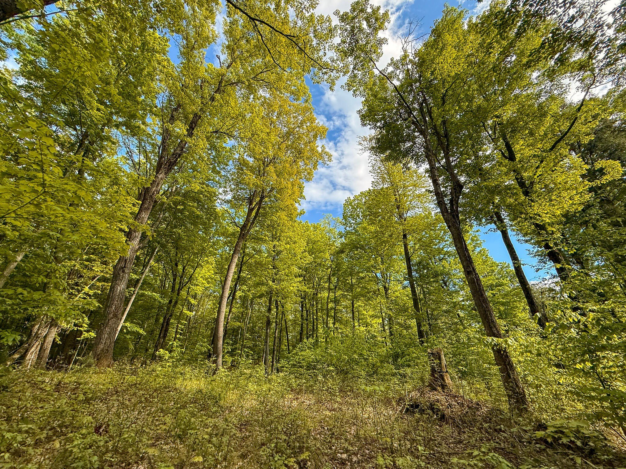 77+ Acre Land Parcel