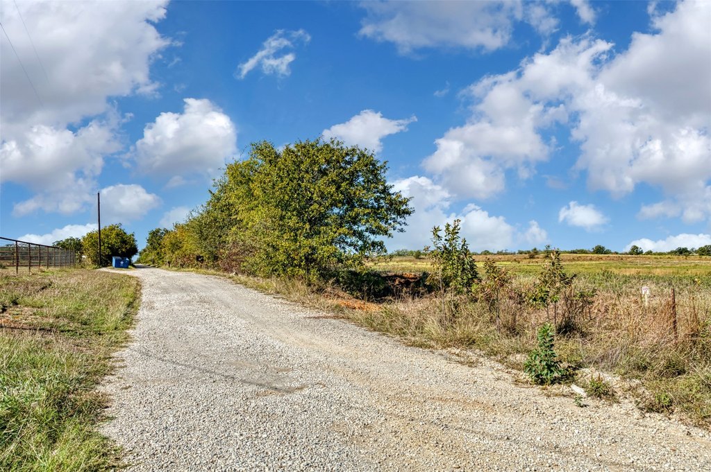 Picture 28