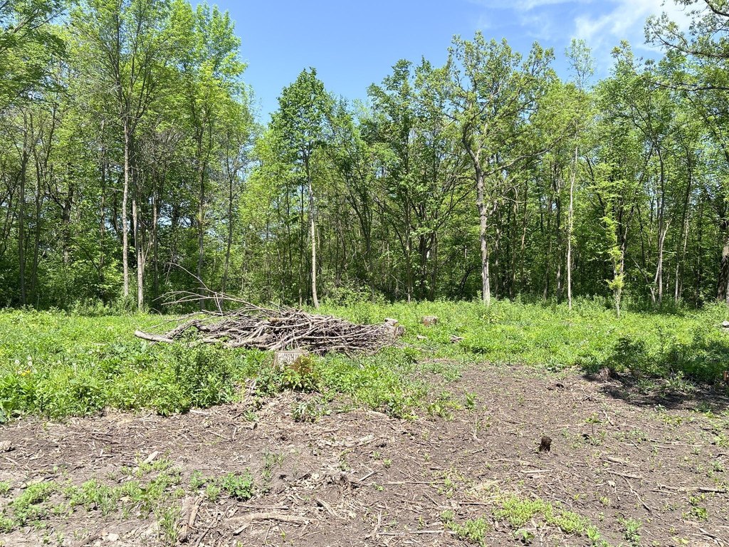 Picture 14