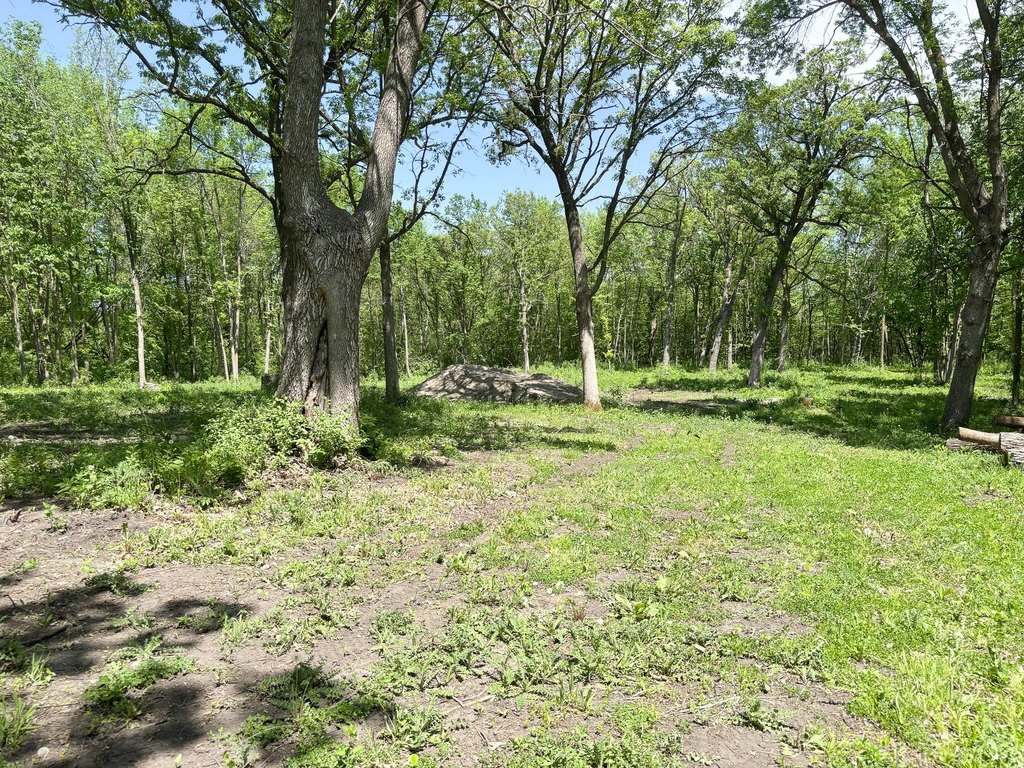 Picture 12