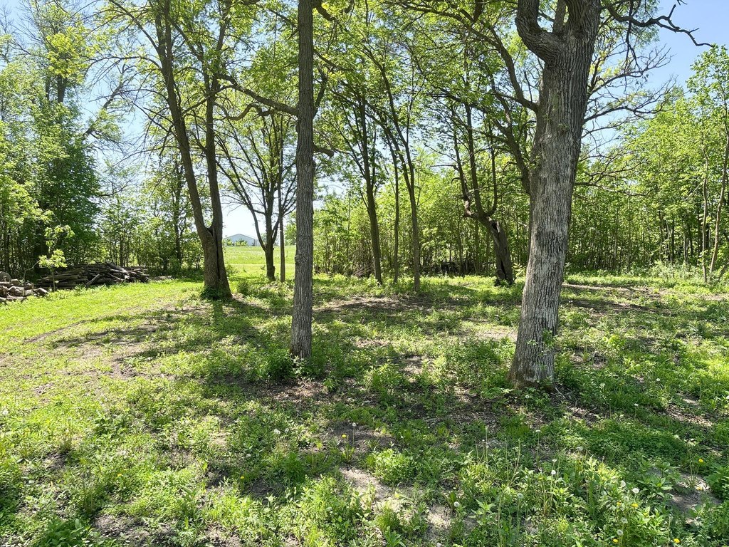 Picture 19