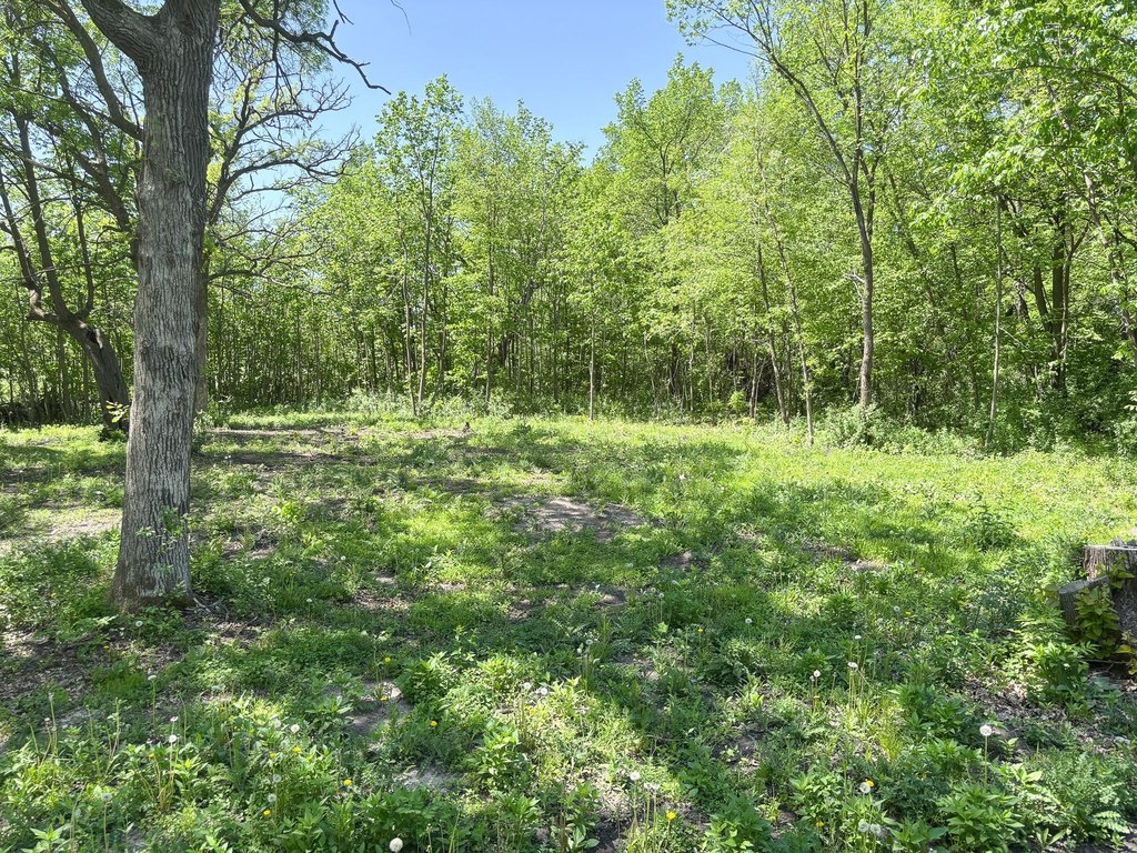 Picture 18
