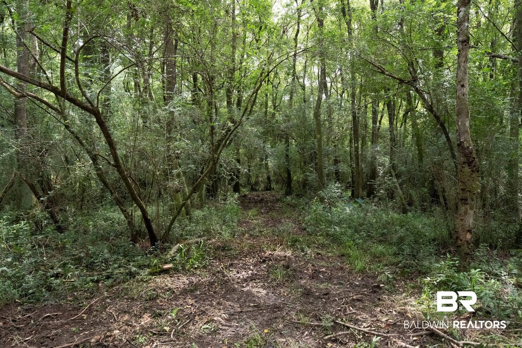 Picture 19