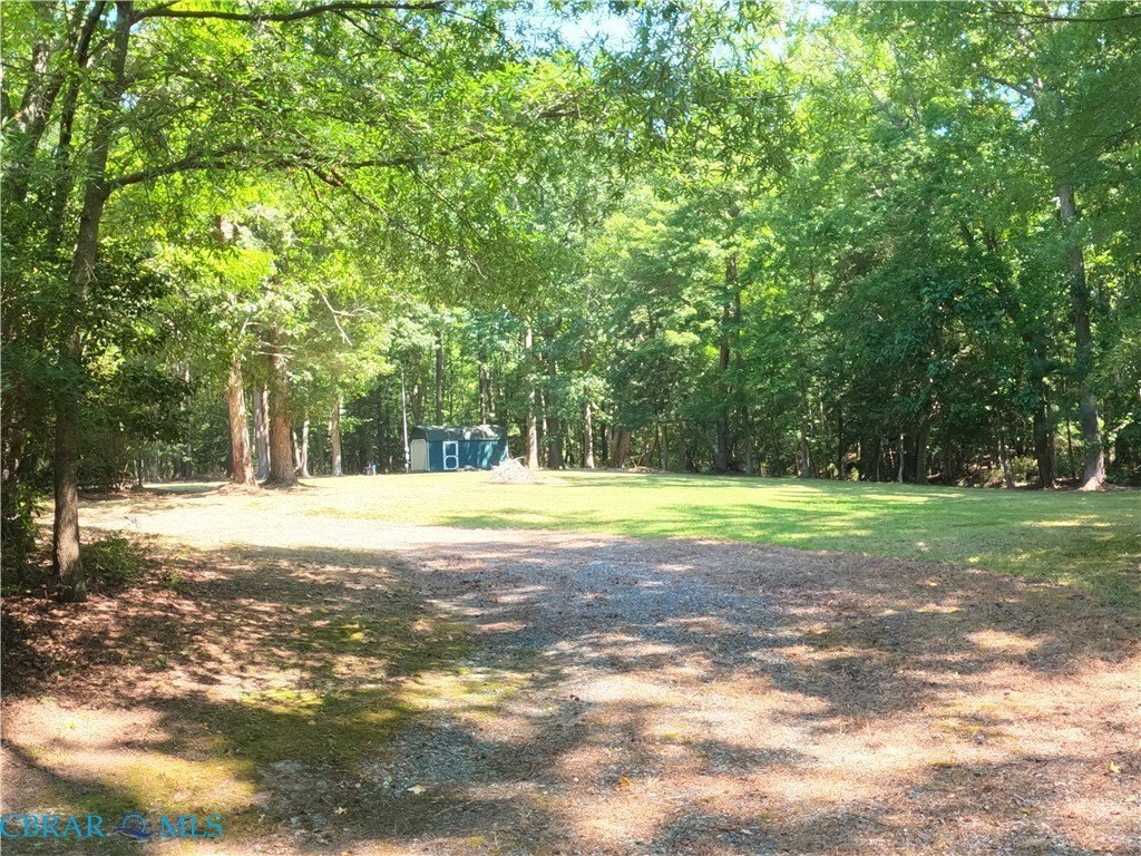 Picture 16