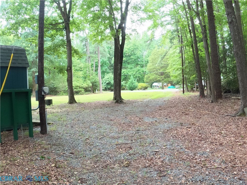 Picture 28