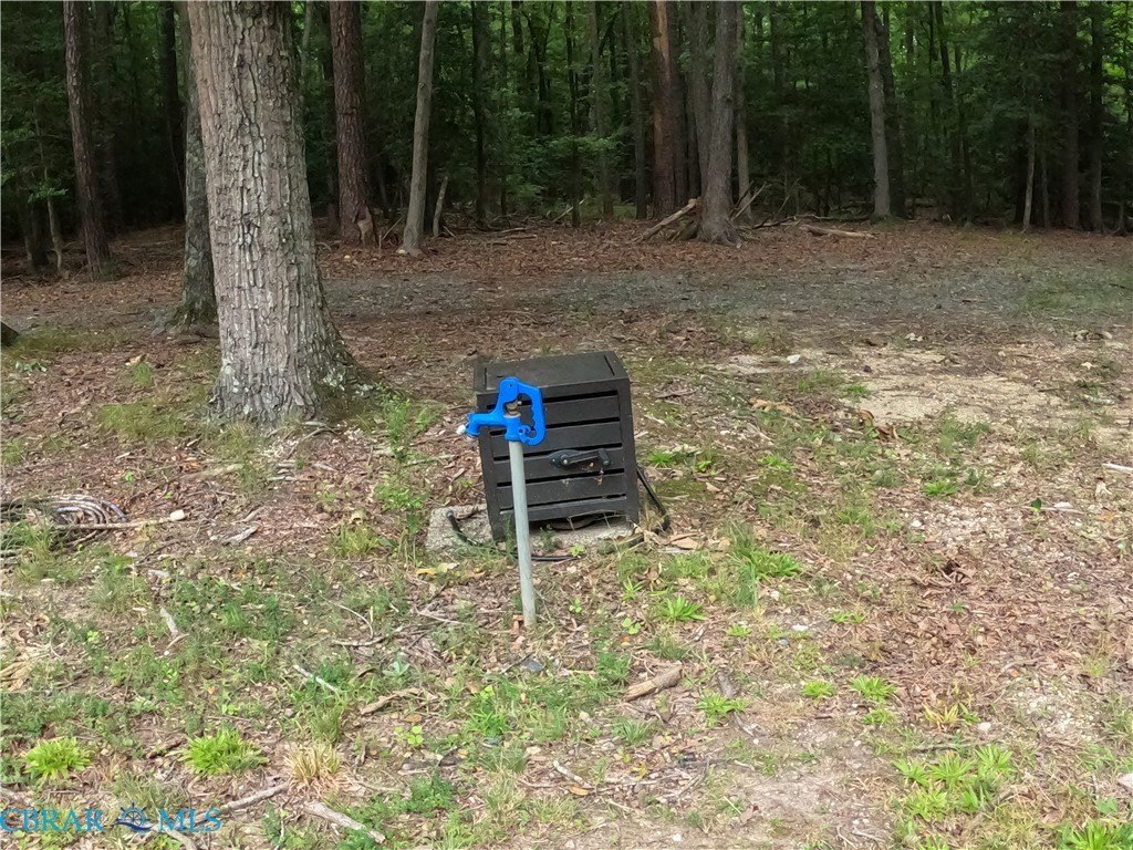 Picture 26