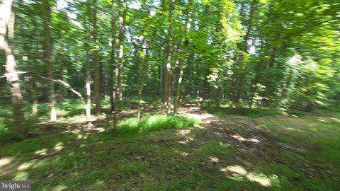 Percolation-Approved Wooded Estate Lot