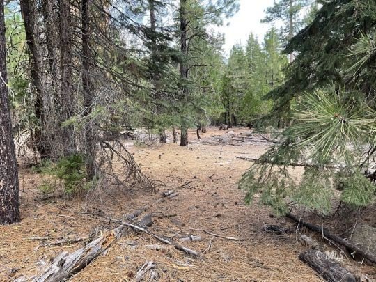 Residential Land in Alturas, CA