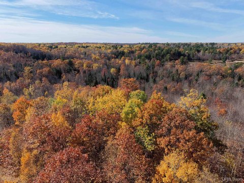 VACANT LAND, Gwinn, MI