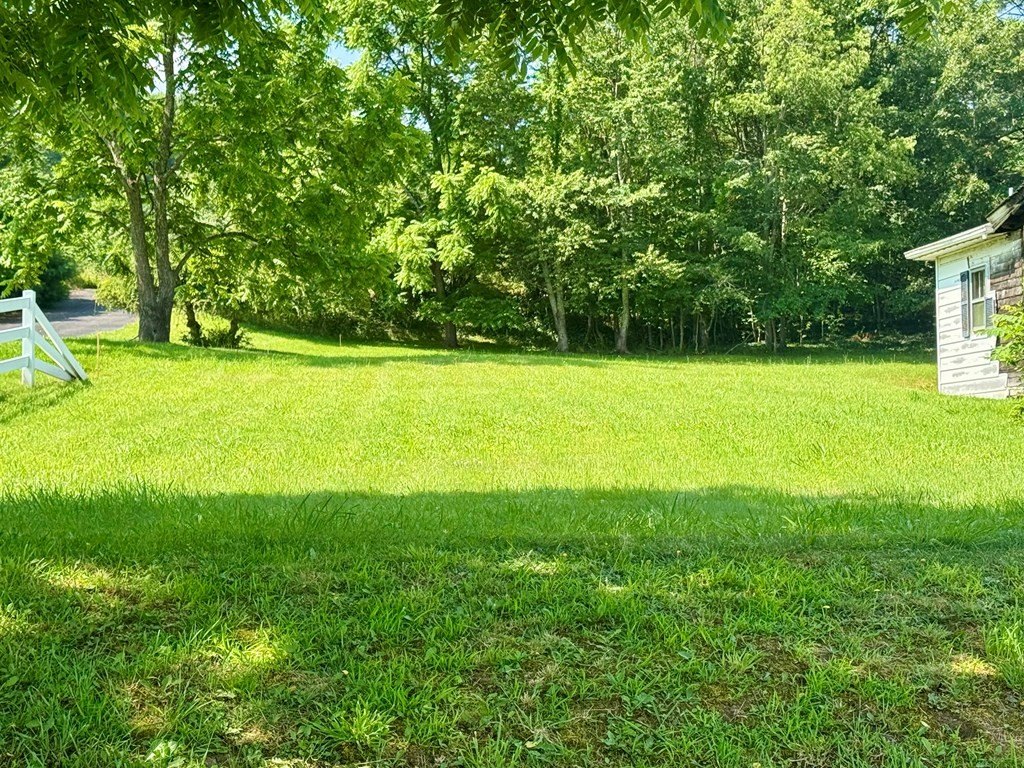 Picture 31