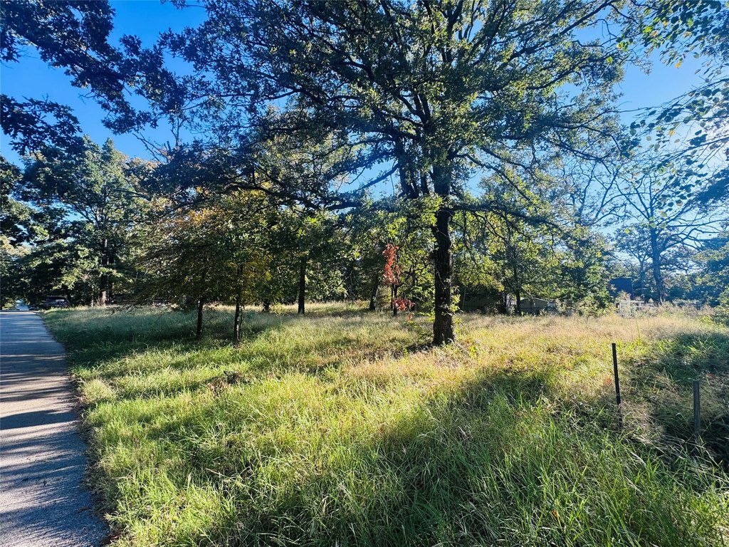 Picture 8