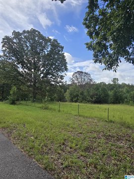 LAND/LOTS, MONTEVALLO, AL