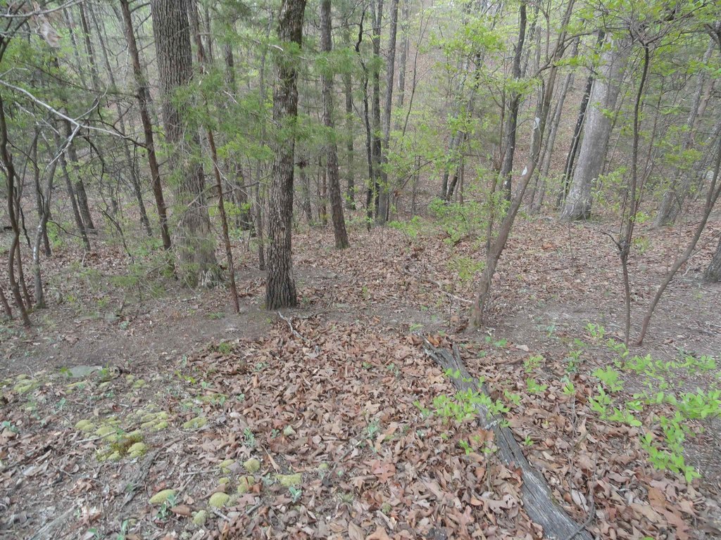 Picture 30