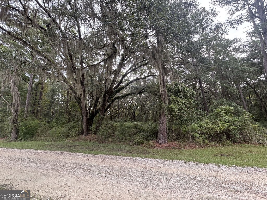 Picture 4